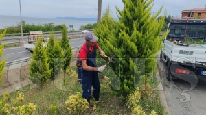 Ordu�nun kent esteti�ine b�y�k�ehir dokunu�u